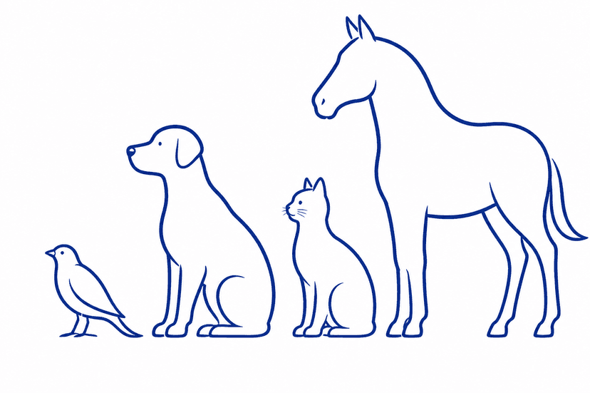 Tiersilhouetten